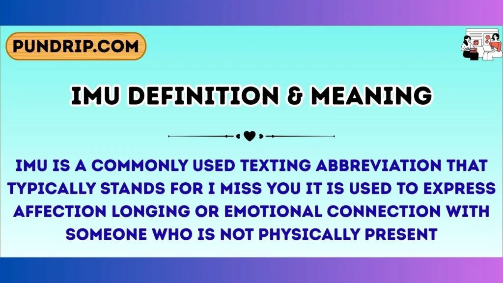 imu Definition & Meaning