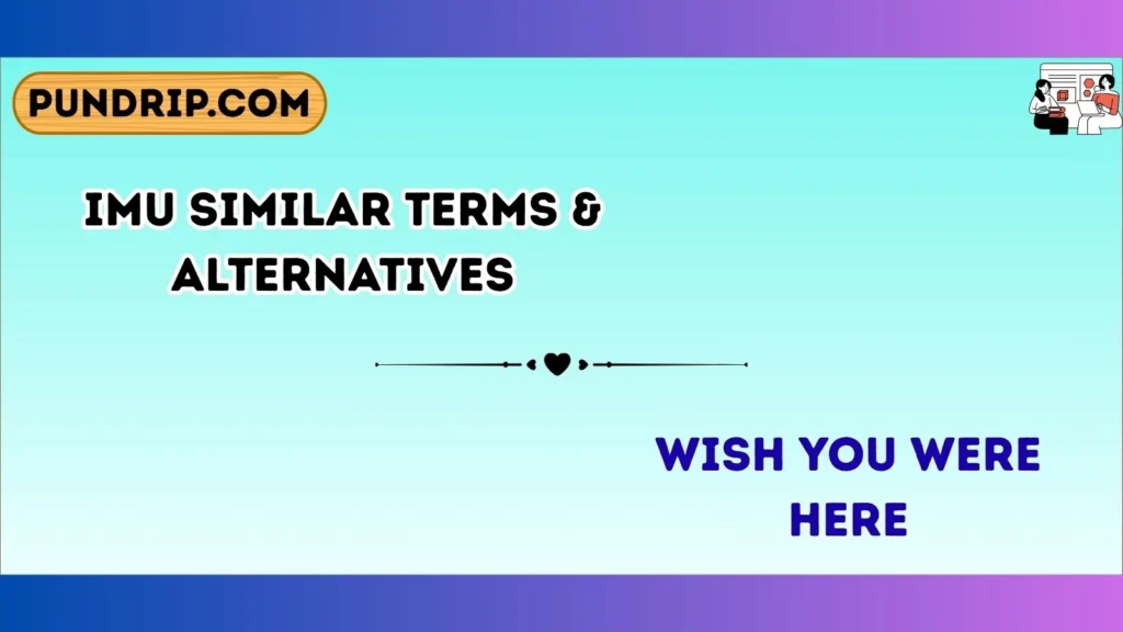 imu Similar Terms & Alternatives