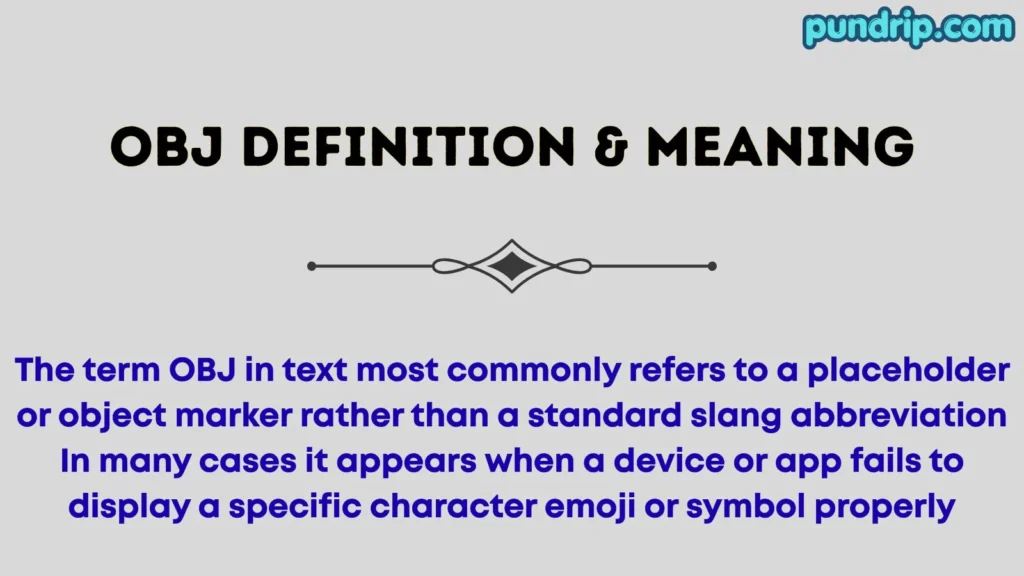 OBJ Definition & Meaning