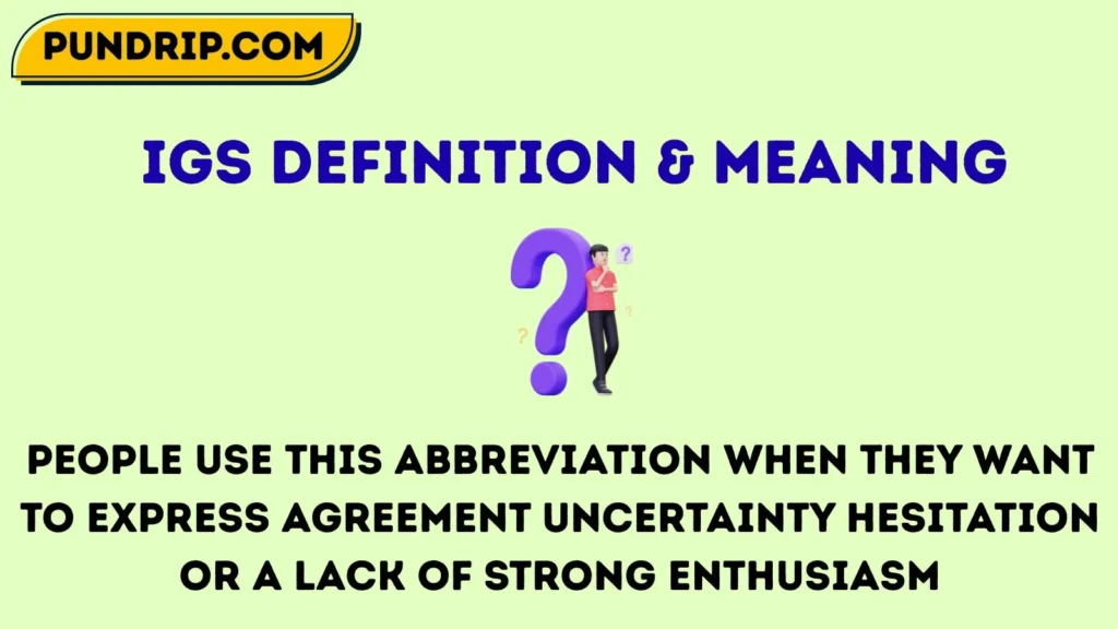 igs Definition & Meaning
