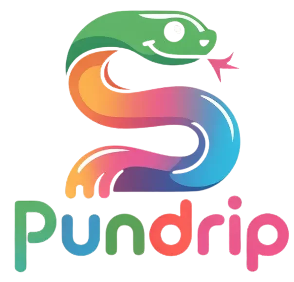 pundrip.com