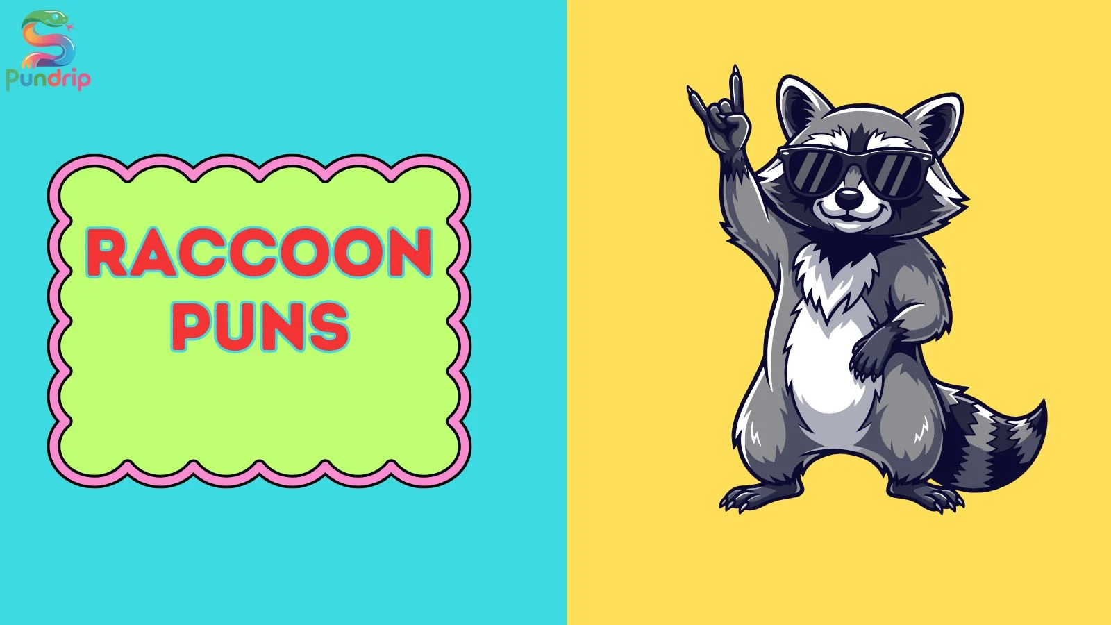 raccoon puns