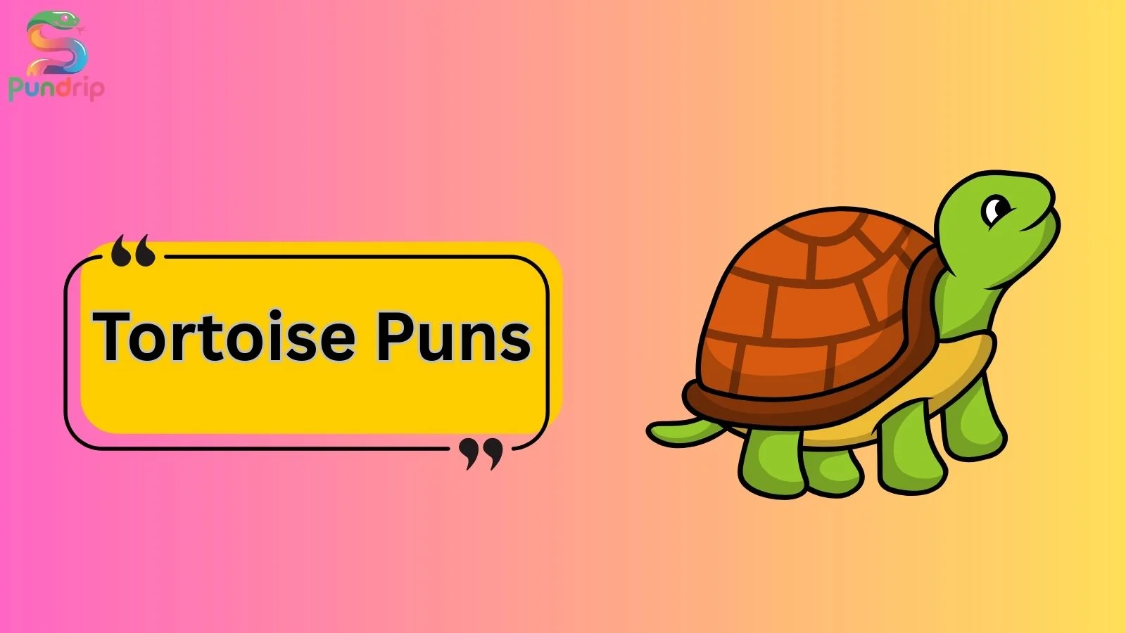 Tortoise Puns