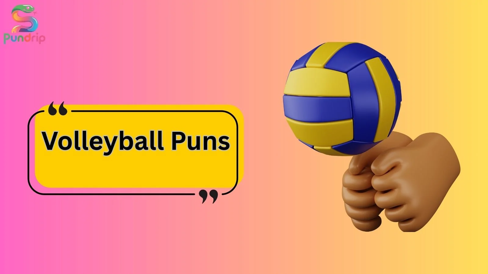 Volleyball Puns
