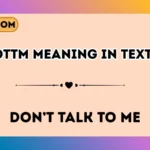 dttm meaning in text