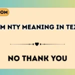 nty meaning in text