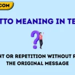 ditto meaning in text