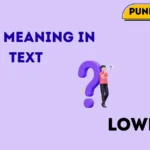 lowk meaning in text