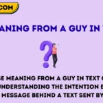 meaning from a guy in text