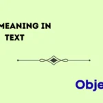 obj meaning in text
