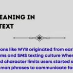 wyb meaning in text