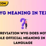 wyg meaning in text