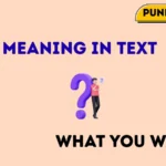 WYW meaning in text