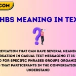 hbs meaning in text