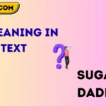 sd meaning in text