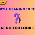 wdyll meaning in text