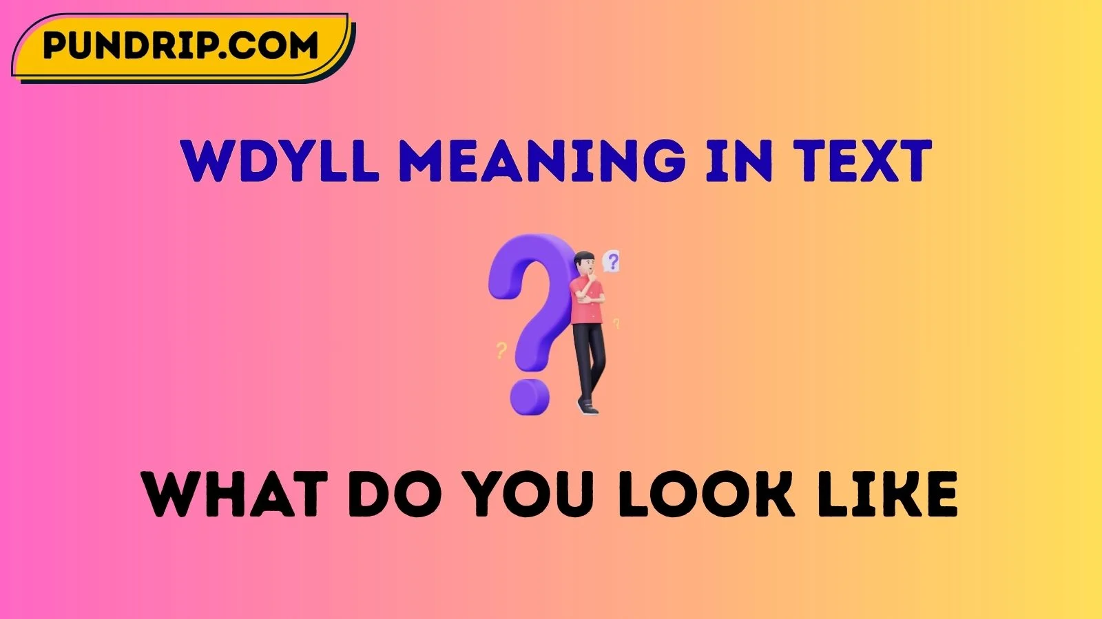 wdyll meaning in text